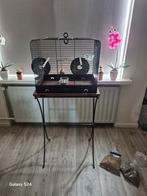 Mooie vogelkooi, Ophalen, Zo goed als nieuw, 75 tot 110 cm, Minder dan 65 cm