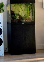Juwel Lido 120 aquarium met eheim pomp, Dieren en Toebehoren, Vissen | Aquaria en Toebehoren, Ophalen, Zo goed als nieuw, Gevuld zoetwateraquarium