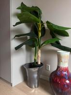 Ecri vaas, Huis en Inrichting, Woonaccessoires | Vazen, Ophalen, Gebruikt, Overige kleuren, Aardewerk of Porselein