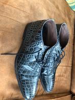 Floris van Bommel Heren Schoenen maat 10, Kleding | Heren, Schoenen, Overige kleuren, Floris van Bommel, Ophalen of Verzenden