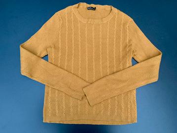 TE KOOP: mooie trui van Bershka draagmaat 170/176 ZGAN beschikbaar voor biedingen