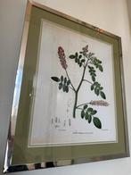 4 Mooie Kunstwerken met Lijst en Glas, Antiek en Kunst, Kunst | Tekeningen en Foto's, Ophalen of Verzenden