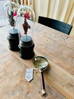 Goliathus orientalis scarabe scarabee kever vitrinekast, Overige soorten