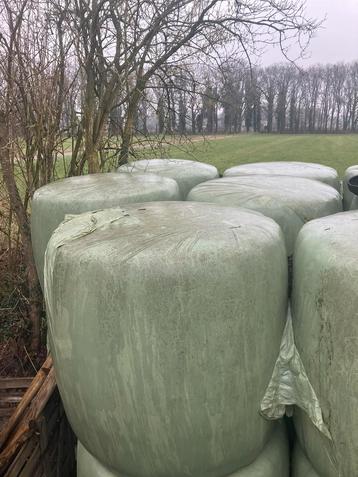 Te koop ronde balen  beschikbaar voor biedingen