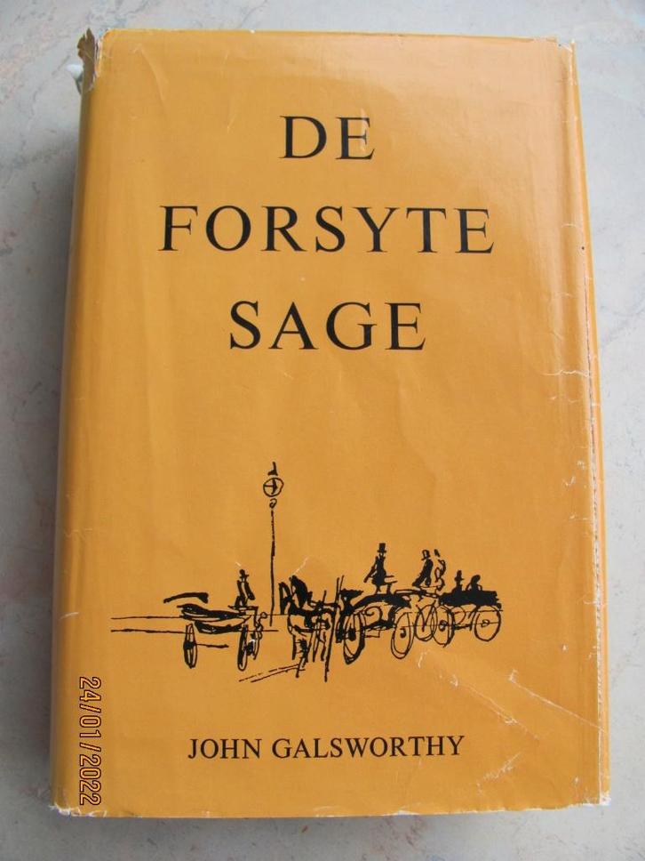 Boek J. GALSWORTHY De Forsyte Sage trilogie Bruna 1967 IZGS, Boeken, Literatuur, Zo goed als nieuw, Europa overig, Ophalen of Verzenden