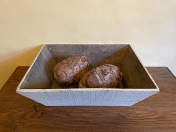 oude druivenbak Lectuurbak Decoratief Bak Schaal hout Frans beschikbaar voor biedingen