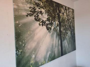 Bos met zonnestralen - Print1.85x2.10 beschikbaar voor biedingen