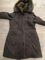 Zgan Gaastra xxxl winterjas, Kleding | Dames, Ophalen of Verzenden, Zo goed als nieuw, Maat 46/48 (XL) of groter, Zwart