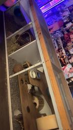 Knaagdierhok GRATIS!!!, Ophalen, 60 tot 90 cm, Hamster, Hok