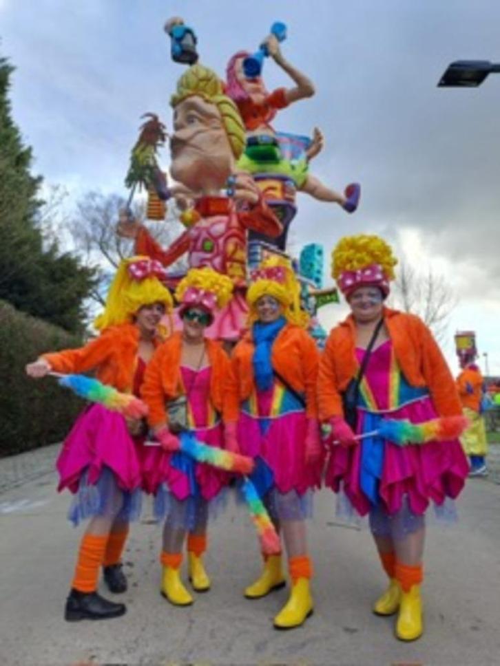 Carnaval Loopgroep, Kleding | Dames, Carnavalskleding en Feestkleding, Zo goed als nieuw, Kleding, Carnaval, Ophalen