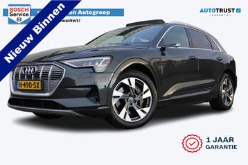 Audi e-tron e-tron 55 quattro advanced Pro Line Plus 95 kWh  beschikbaar voor biedingen