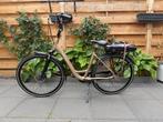 Stella livorno 2021, Versnellingen, 56 cm of meer, Zo goed als nieuw, Ophalen