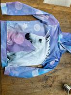 Paardenpraat Hoody, Kinderen en Baby's, Kinderkleding | Maat 158, Ophalen of Verzenden, Zo goed als nieuw, Jongen of Meisje, Trui of Vest