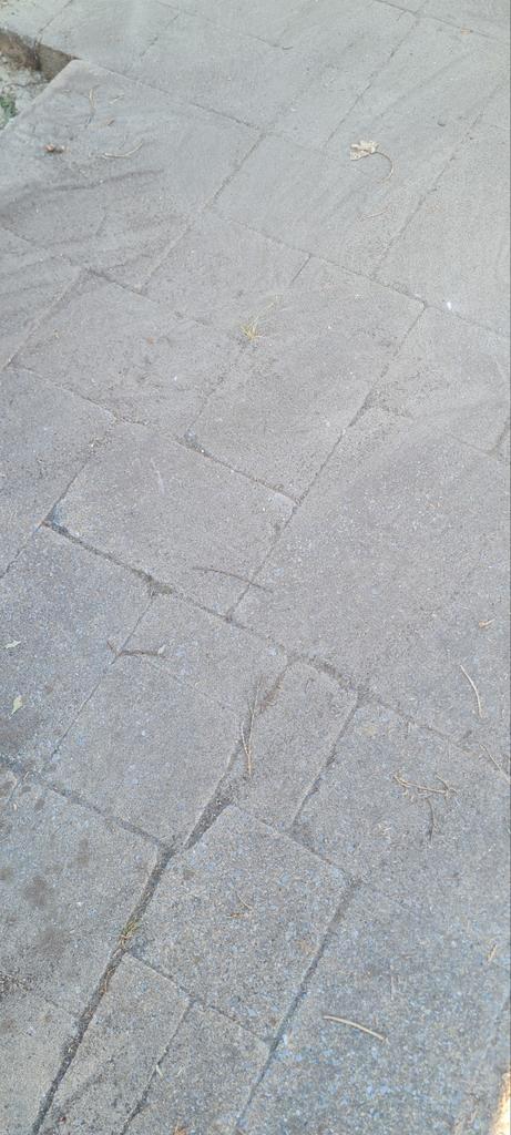 Gratis terrastegels diverse formaten, Tuin en Terras, Tegels en Klinkers, Gebruikt, Terrastegels, Beton, 10 m² of meer, Ophalen