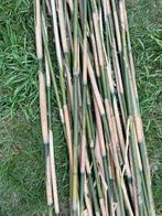 Lange bamboe stokken, Tuin en Terras, Planten | Bomen, Ophalen, Bloeit niet, Halfschaduw, Overige soorten