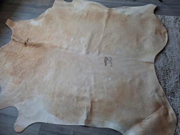 Mooie Koeienhuid - Prima Staat maat 185 by 170 beschikbaar voor biedingen