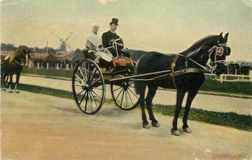 (300-141-001) Nederland Friesland beschikbaar voor biedingen