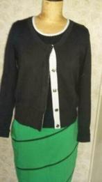 Blue river donkerblauw polkadot vest college style, Maat 38/40 (M), Blauw, Ophalen of Verzenden, Zo goed als nieuw