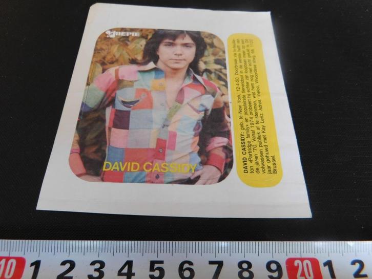 sticker Joepie  Davis Cassidy, Verzamelen, Stickers, Zo goed als nieuw, Bedrijf of Vereniging, Ophalen