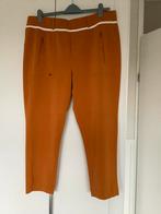 Mooie broek maat 46, Ophalen of Verzenden, Zo goed als nieuw, Overige kleuren, Broek of Spijkerbroek