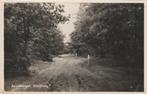 APPELBERGEN Hoofdweg, Verzamelen, Ansichtkaarten | Nederland, Verzenden, 1940 tot 1960, Ongelopen, Groningen