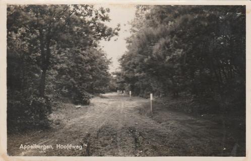APPELBERGEN Hoofdweg, Verzamelen, Ansichtkaarten | Nederland, Ongelopen, Groningen, 1940 tot 1960, Verzenden