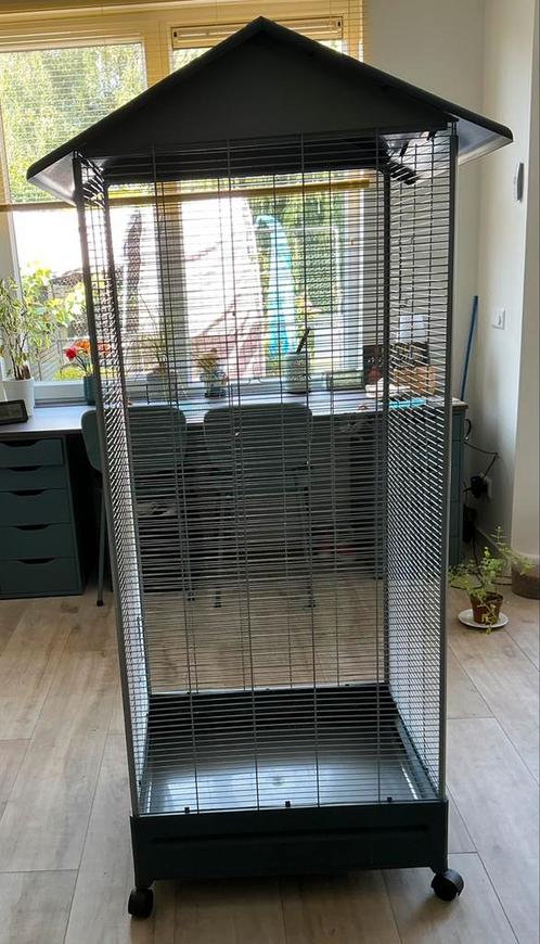 Grote vogelkooi of voliere, Dieren en Toebehoren, Vogels | Hokken en Kooien, Zo goed als nieuw, Vogelkooi, Metaal, Ophalen of Verzenden
