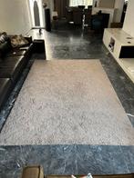 Vloerkleed 290 200 cm Nous beige creme grijs, Ophalen, Gebruikt, Beige, 200 cm of meer