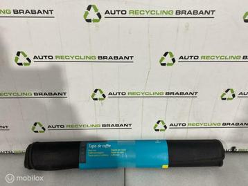 Kofferbakmat Renault Scenic 2 NIEUW ORIGINEEL 7711223868 beschikbaar voor biedingen