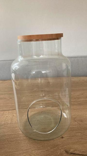 Vaas - terrarium beschikbaar voor biedingen
