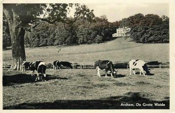 (377-540-035) Arnhem De Grote Weide beschikbaar voor biedingen