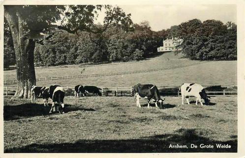 (377-540-035) Arnhem De Grote Weide, Verzamelen, Ansichtkaarten | Nederland, Gelderland, Verzenden