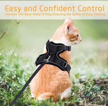 Kattenriem, Zwart, Maat S beschikbaar voor biedingen