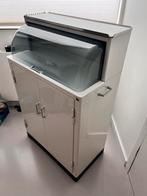 Schmitz vintage dokterskastje/medicijnkastje rollend, Antiek en Kunst, Ophalen