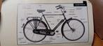 Gazelle Primeur Oldtimer Fiets 35 euro, Gebruikt, Oldtimer, Overige typen, Ophalen of Verzenden