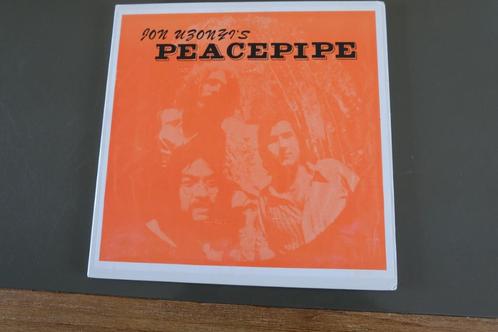 Peacepipe S/T 1995 US 1st press Rockadelic psych gem nm!!, Cd's en Dvd's, Vinyl | Rock, Gebruikt, Alternative, 12 inch, Ophalen of Verzenden