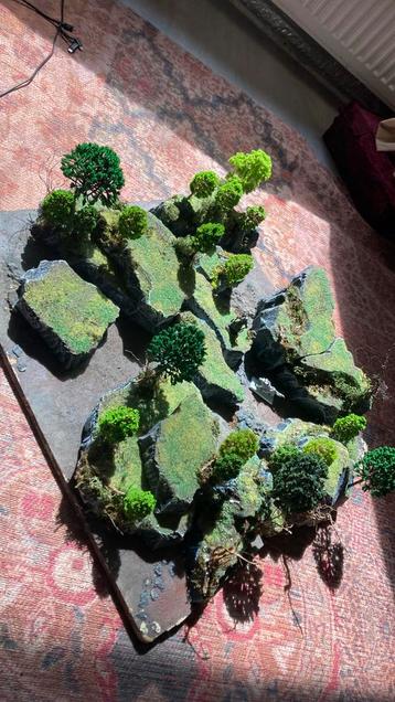Wargaming dnd terrein scenery rotsen bomen battlehill beschikbaar voor biedingen