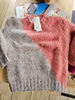 Inti nieuw maat M, Kleding | Dames, Maat 38/40 (M), Overige kleuren, Nieuw, Ophalen of Verzenden