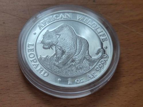 African Wildlife; Leopard 2023. 1 oz zilver. Somalië., Postzegels en Munten, Edelmetalen en Baren, Zilver, Ophalen of Verzenden