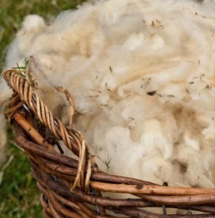 Gratis Schapenwol Gezocht!, Dieren en Toebehoren, Schapen, Geiten en Varkens