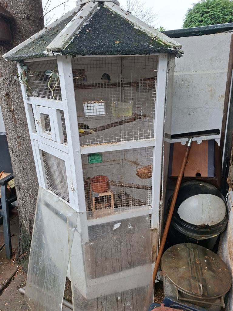 5 kanaries 2 diamandduifjes 1 kwartel  6kante kooi, Ophalen of Verzenden