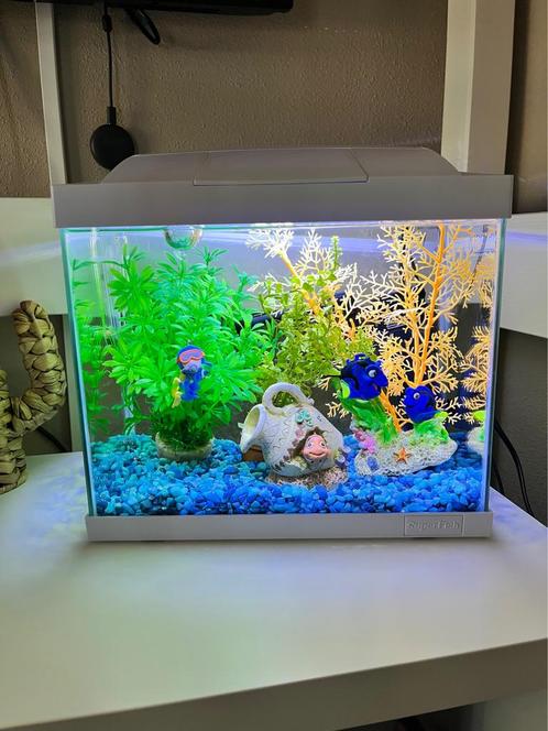 Aquarium voor beginners, SLECHTS 3 MND OUD!, Dieren en Toebehoren, Vissen | Aquaria en Toebehoren, Zo goed als nieuw, Gevuld zoetwateraquarium