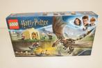 LEGO Harry Potter 75946 Hungarian Horntail Triwizard Challen, Ophalen of Verzenden, Nieuw, Complete set, Lego