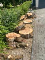 Gratis brandhout haardhout, Minder dan 3 m³, Ophalen, Overige houtsoorten, Blokken