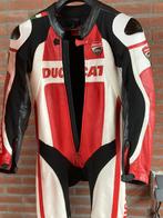 Ducati dainese  pak, Motoren