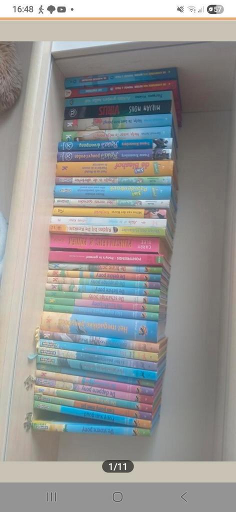 Manege Zonnehoeve, Droompaarden, etc. Mega veel boeken, Boeken, Overige Boeken, Zo goed als nieuw, Ophalen of Verzenden