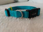 Beezteez Uni - Halsband Hond - Lichtblauw - 35 tot 50 cm, Dieren en Toebehoren, Ophalen of Verzenden, Zo goed als nieuw