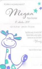 Megan, Ophalen of Verzenden, 2000 tot heden, Geboortekaartje