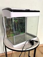 Mooi aquarium inclusief accessoires, Dieren en Toebehoren, Vissen | Aquaria en Toebehoren, Ophalen, Zo goed als nieuw, Leeg aquarium