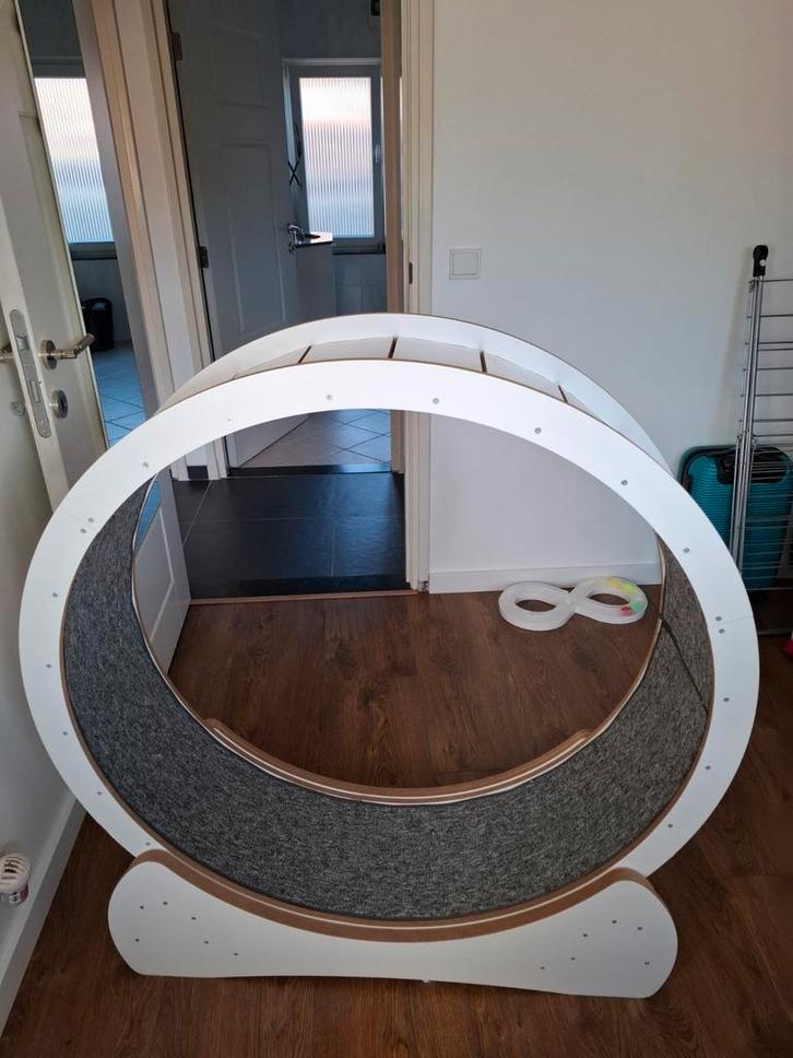 Loopwiel voor katten, Dieren en Toebehoren, Kattenspeelgoed, Gebruikt, Overig speelgoed, Ophalen